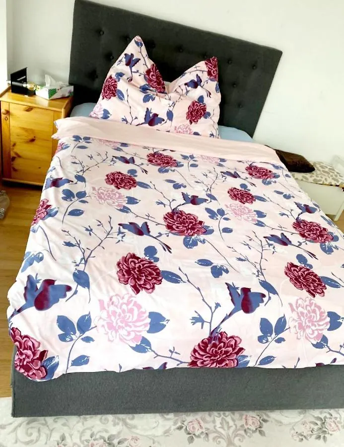 Apartment Kleine Wohnung im Zentrum Bern nähe Marzili Schweiz